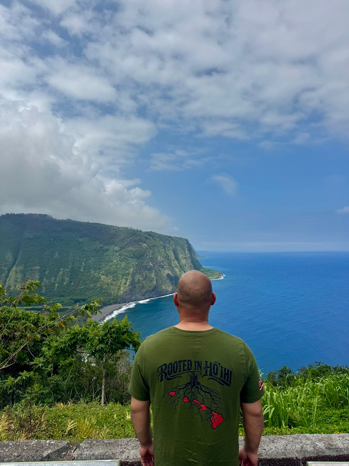 Pillar of ʻĀina Tee in Olive, back tree roots print
